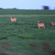 Image for article titled Motion Gallery 2